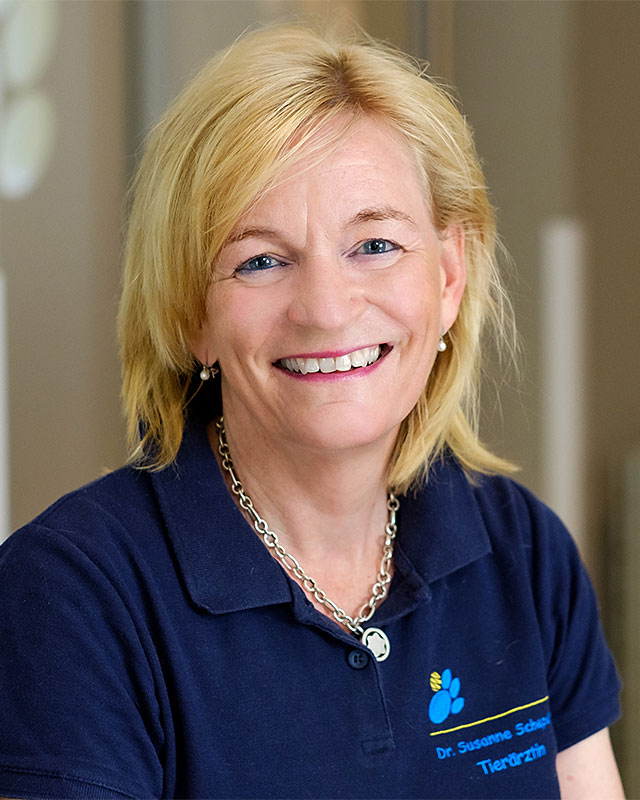 Dr. Susanne Schepers